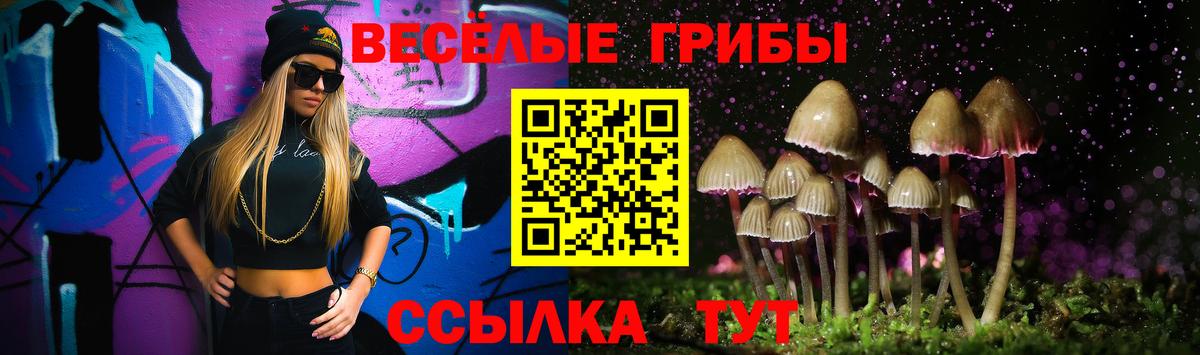 Галлюциногенные грибы Psilocybine cubensis  Вход с VPN  Галлюциногенные грибы мицелий  Волжский 